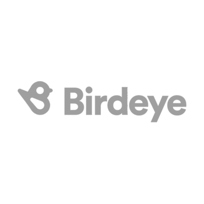 birdeye logo